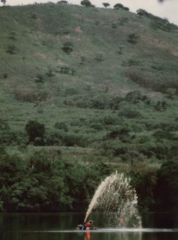 Stacks Image 560